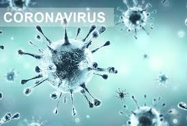 CoV19 J15 en France ; Coronavirose vers un fiasco planétaire planifié ?