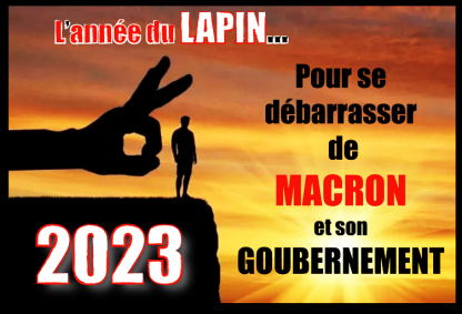 2023 Année du Lapin par RIEN 271222