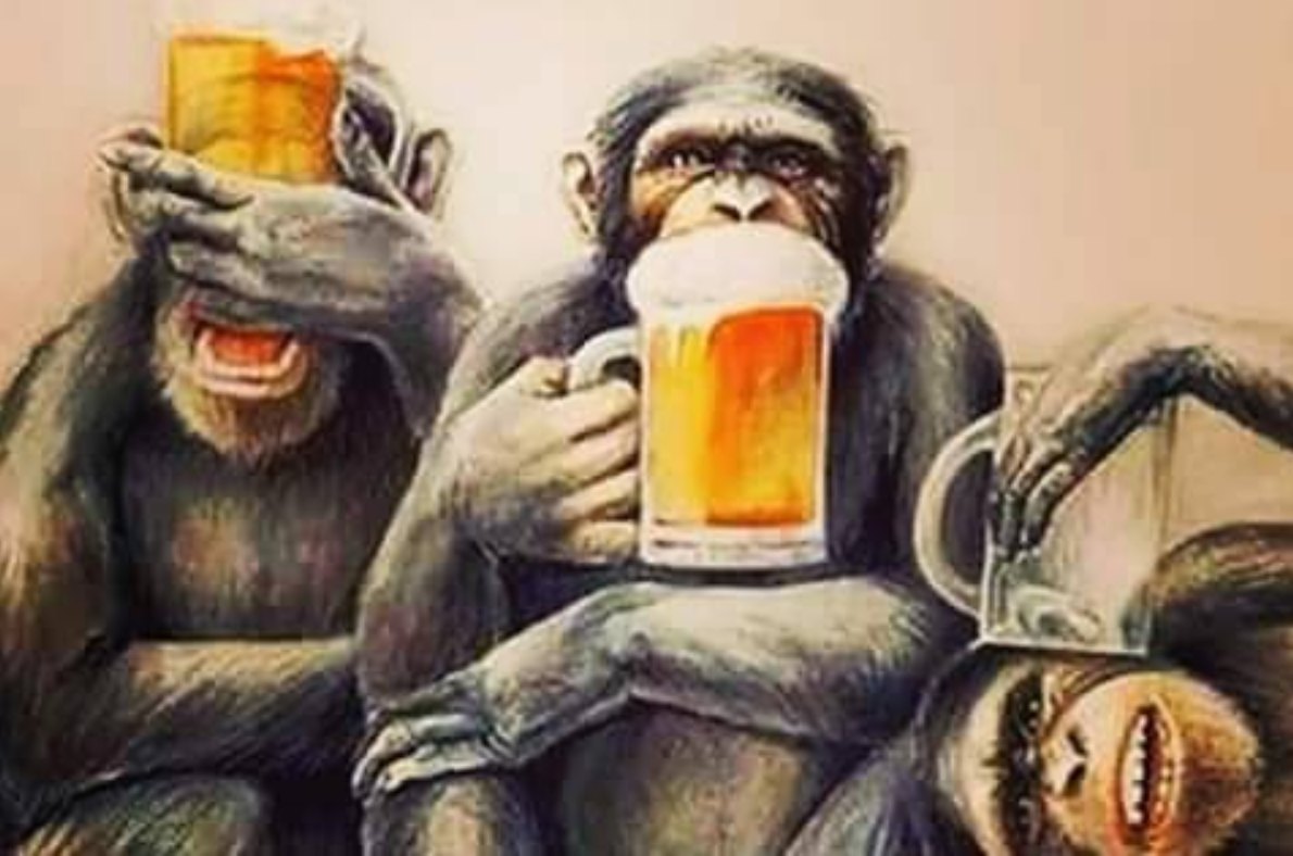 3 singes fête de la bière par RIEN 050823